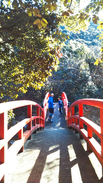 c0266240_17452142.jpg