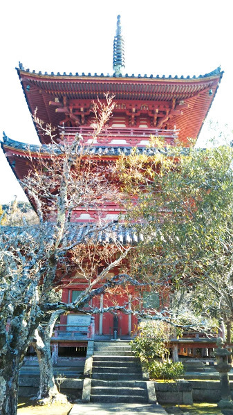 c0266240_17452817.jpg