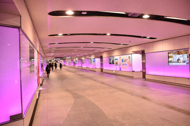 b0249247_23022127.jpg