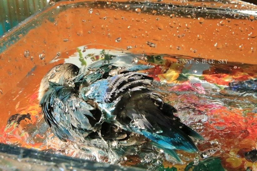 c0145250_16383255.jpg