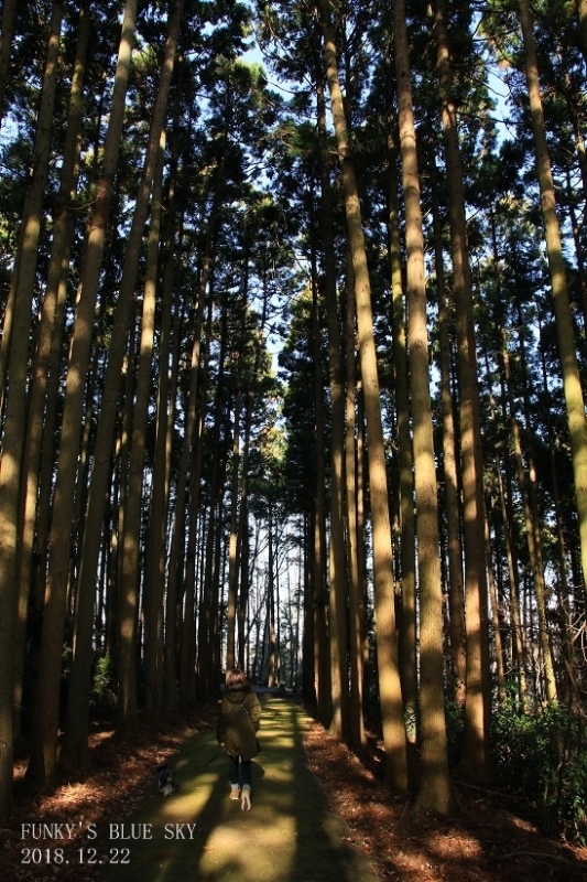 c0145250_17005809.jpg