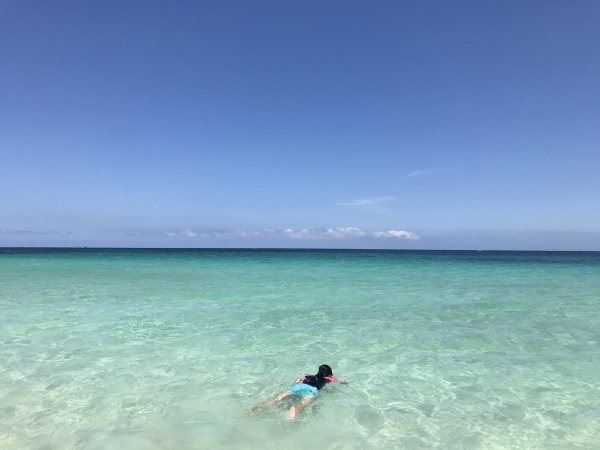 f0304452_14482182.jpeg