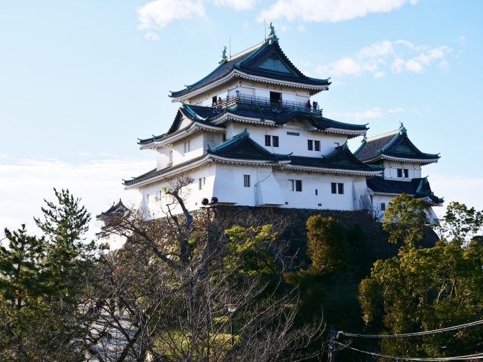 　　１月４日の和歌山城　　２０１９年１月４日撮影_b0093754_21055886.jpg