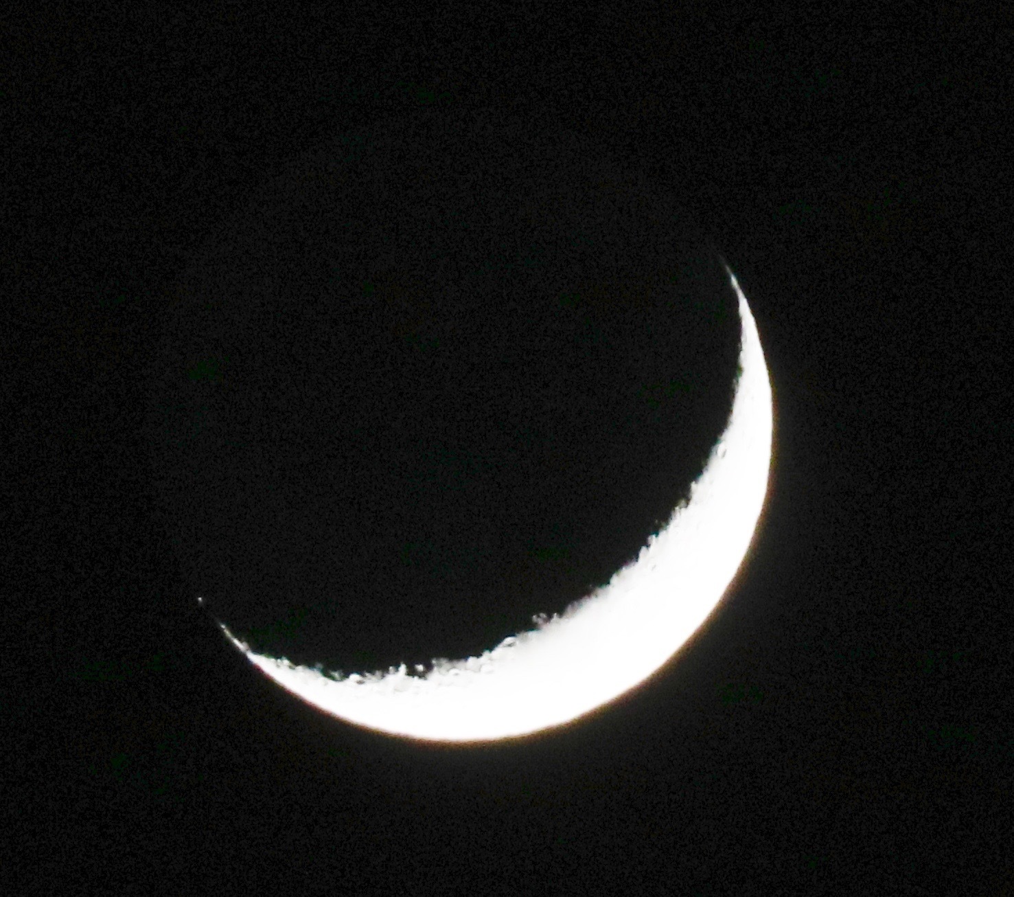a0248459_15270755.jpg