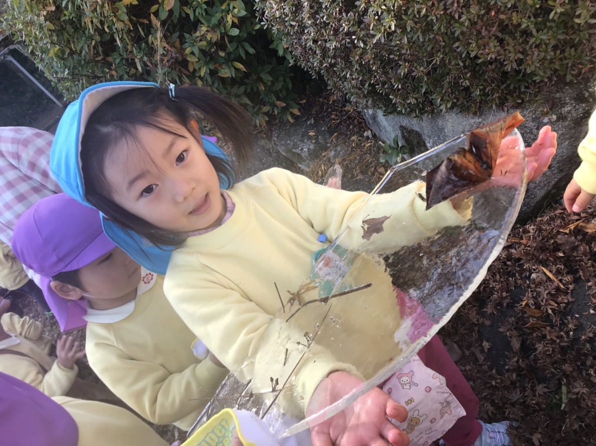a0051662_17460604.jpeg