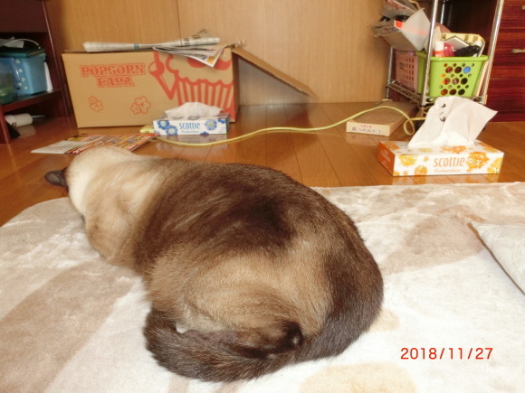 f0340068_21283035.jpg