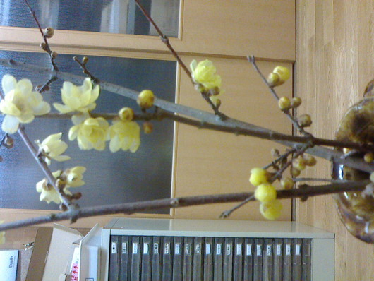 f0238070_15533389.jpg