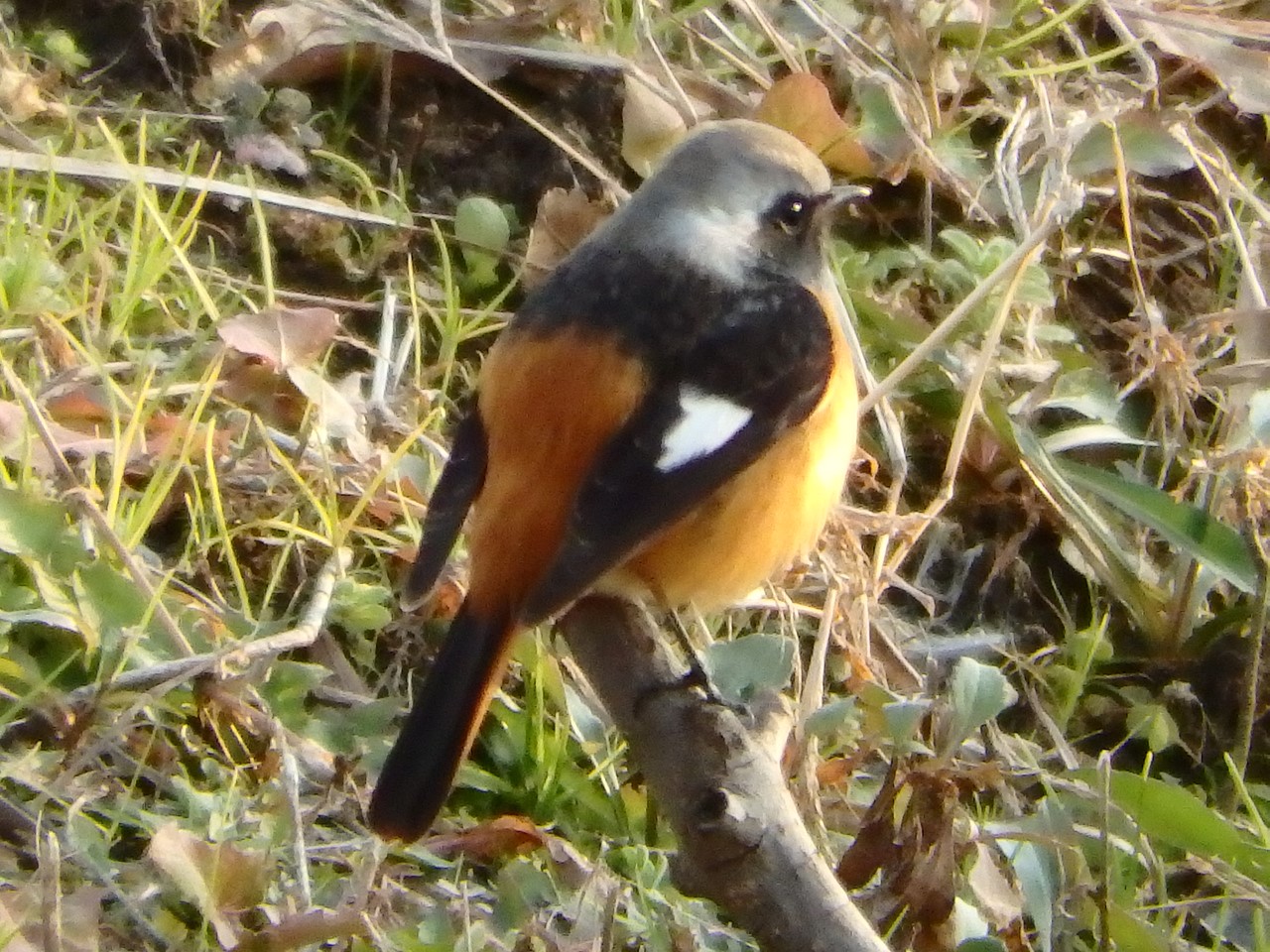 d0054276_2033385.jpg