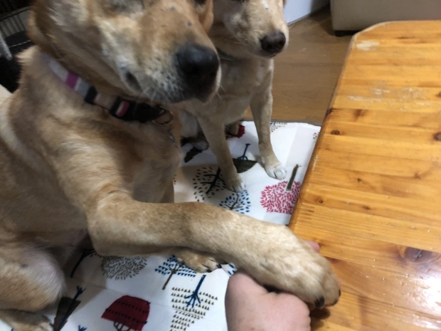 b0377882_23263410.jpeg