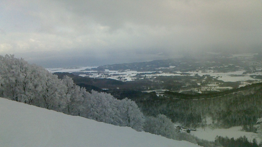 f0131183_17572373.jpg