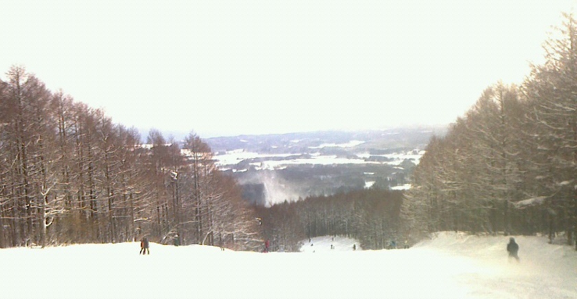 f0131183_17573878.jpg