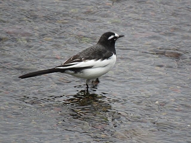 f0357487_21333552.jpg