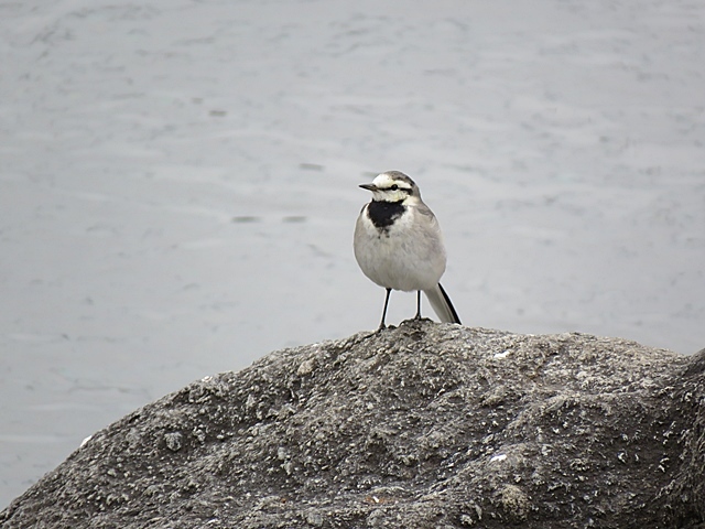 f0357487_21482004.jpg