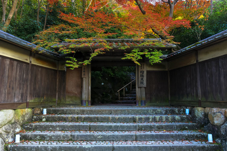 瑠璃光院_e0051888_20344428.jpg