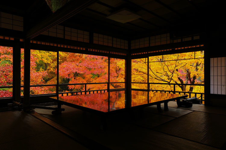 瑠璃光院_e0051888_20344481.jpg
