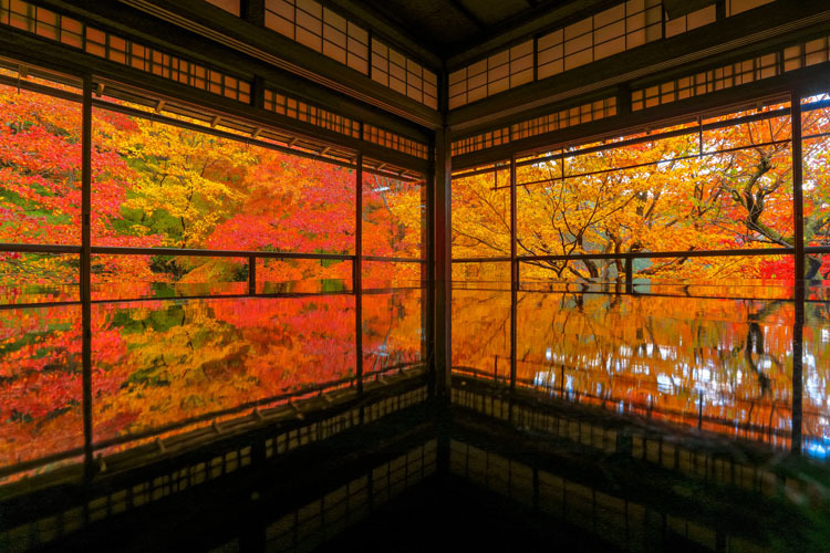 瑠璃光院_e0051888_20362337.jpg