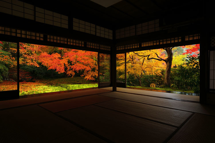 瑠璃光院_e0051888_20370875.jpg