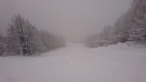 e0015490_22142169.jpg