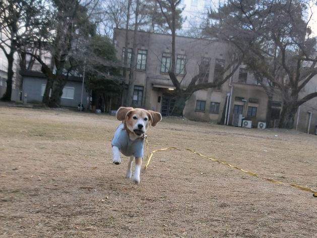 a0319693_5455536.jpg