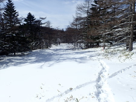 e0120896_21150868.jpg