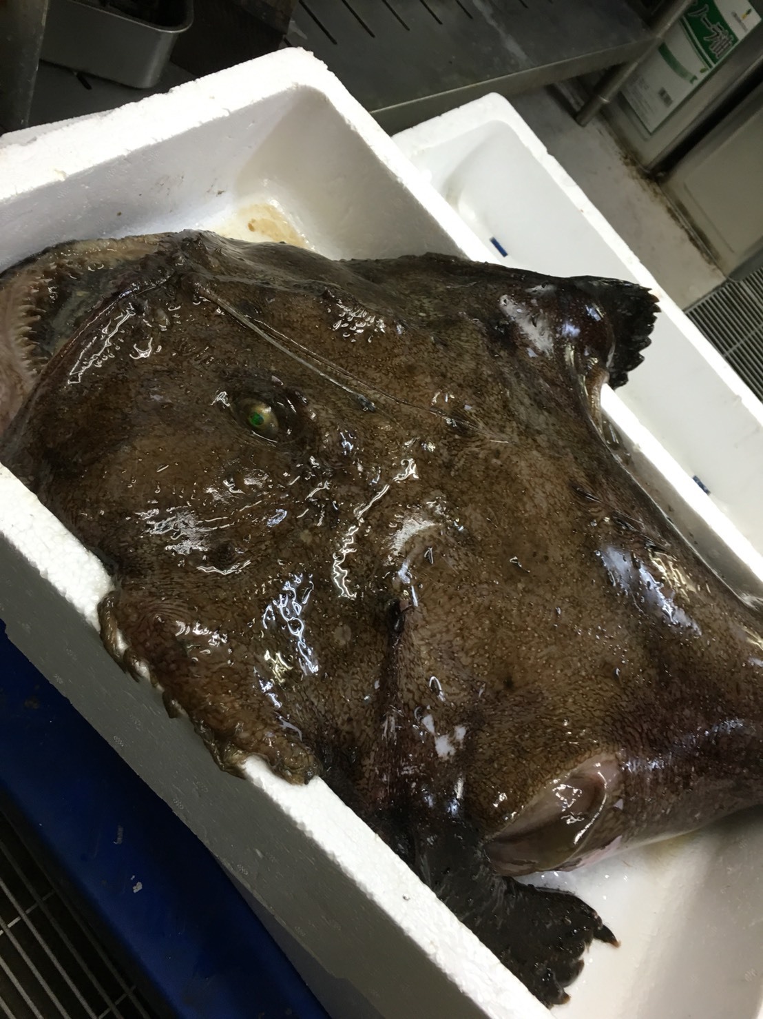 【漁火】アンコウ汁_d0235898_11020906.jpg