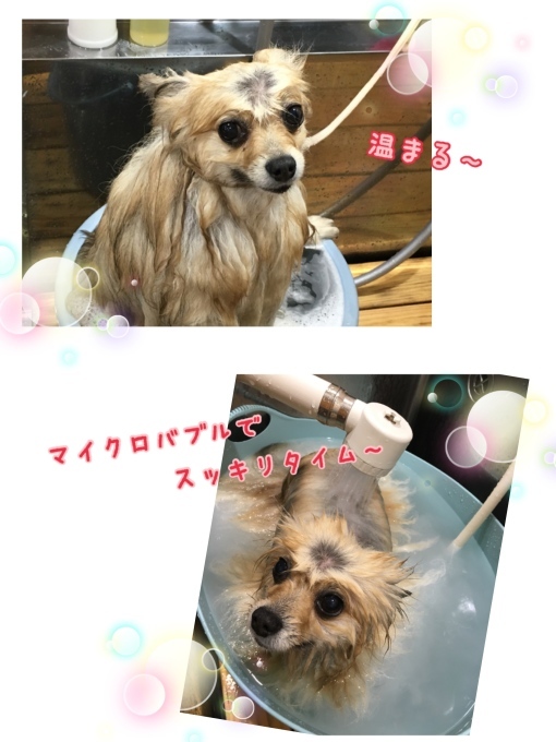 d0269898_15250829.jpeg