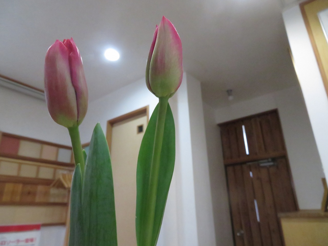 d0013610_09064655.jpg