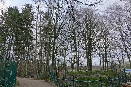 a0151913_10524336.jpg