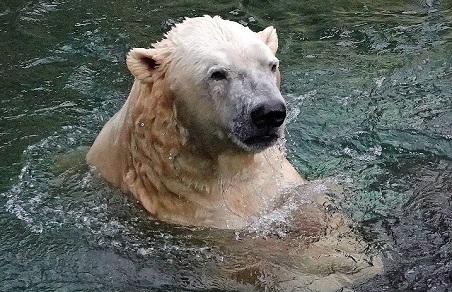 a0151913_10565821.jpg