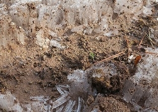 e0081218_21122437.jpg
