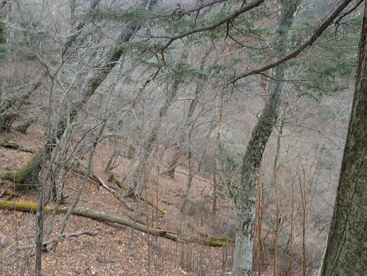 f0193521_1026360.jpg