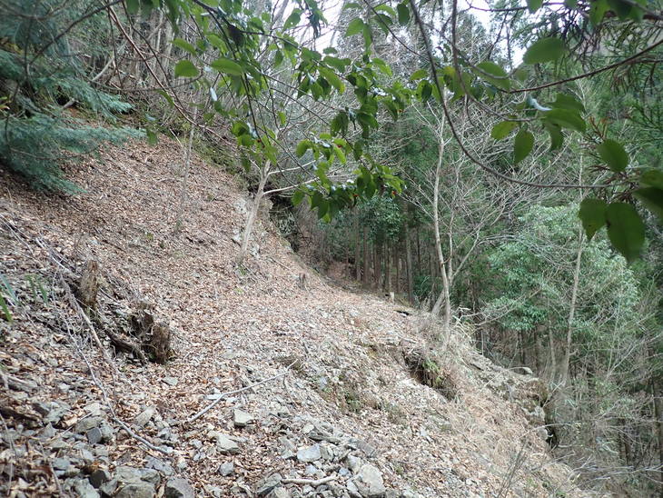 f0193521_10401948.jpg