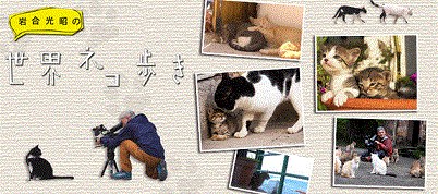 a0054926_06520015.gif