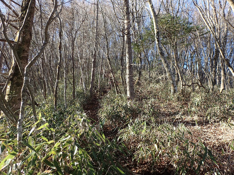 e0284726_1132881.jpg