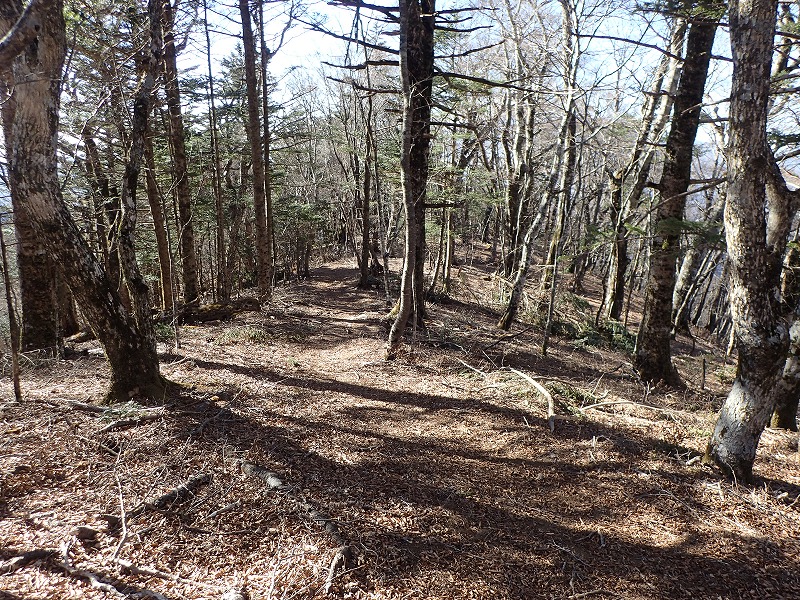 e0284726_11391480.jpg