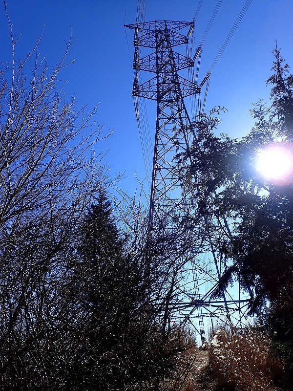 e0284726_11393232.jpg