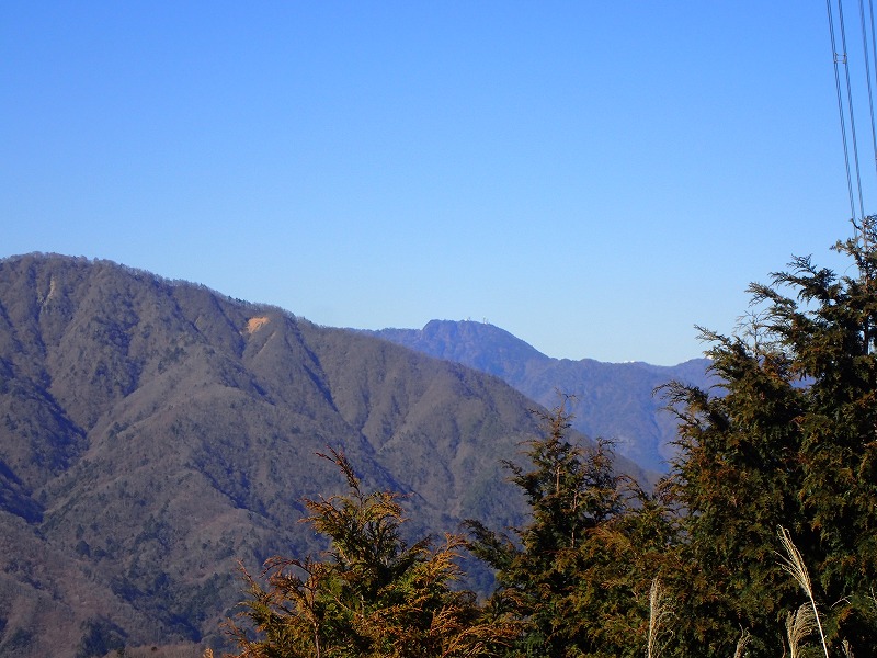 e0284726_1140454.jpg