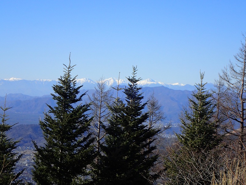 e0284726_1143867.jpg