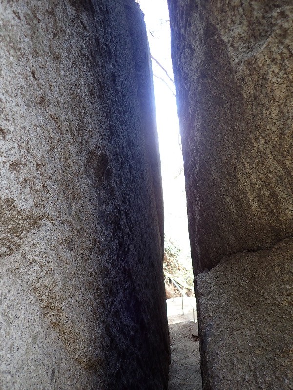 e0284726_11472492.jpg