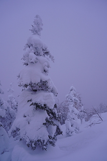 f0037227_23364390.jpg