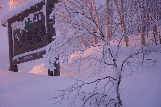 f0037227_23365050.jpg