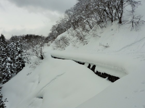 f0118332_00421736.jpg