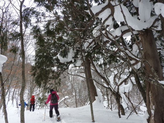 f0118332_00425496.jpg
