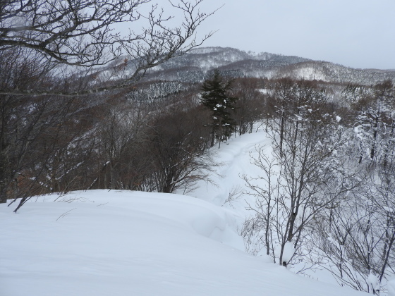 f0118332_00445005.jpg