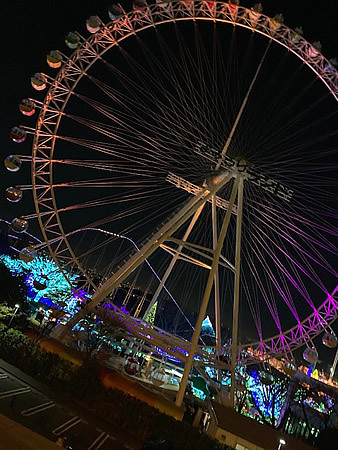 d0248537_07070527.jpg