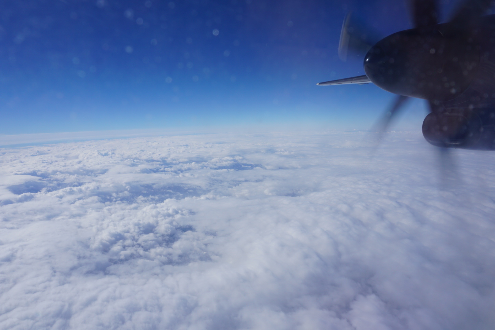 d0370737_07115554.jpeg