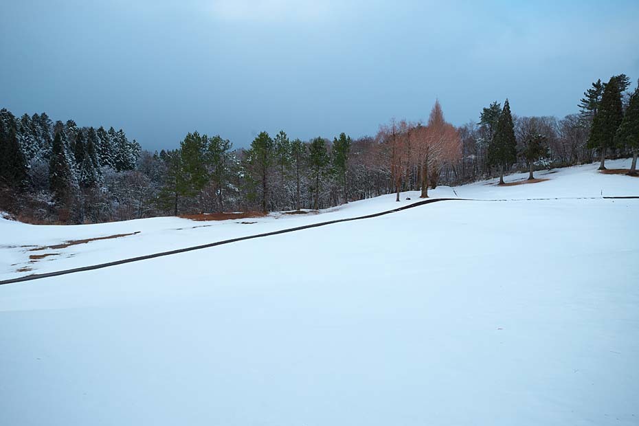 c0067040_21242269.jpg