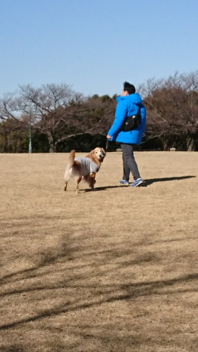 a0329943_00100686.png