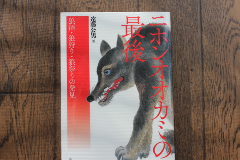 日本オオカミの最後 読書no295 空のように 海のように