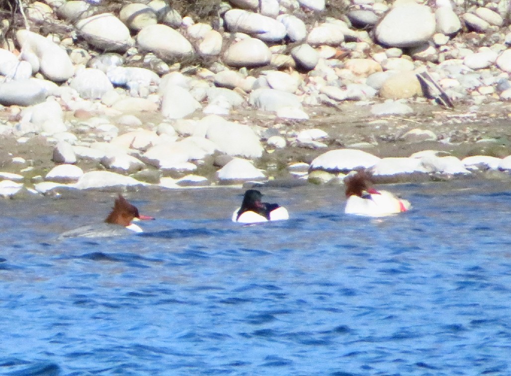 a0018655_09040047.jpg